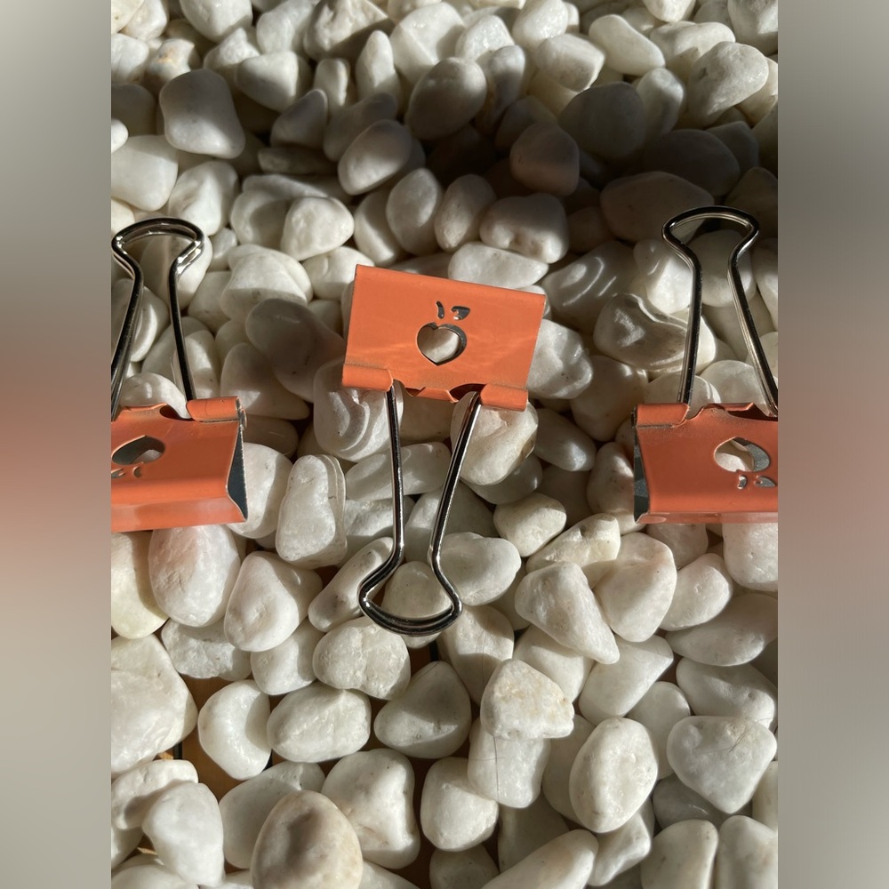 Paper Clips - Picture 9 of 12